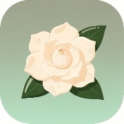 瓜子影视